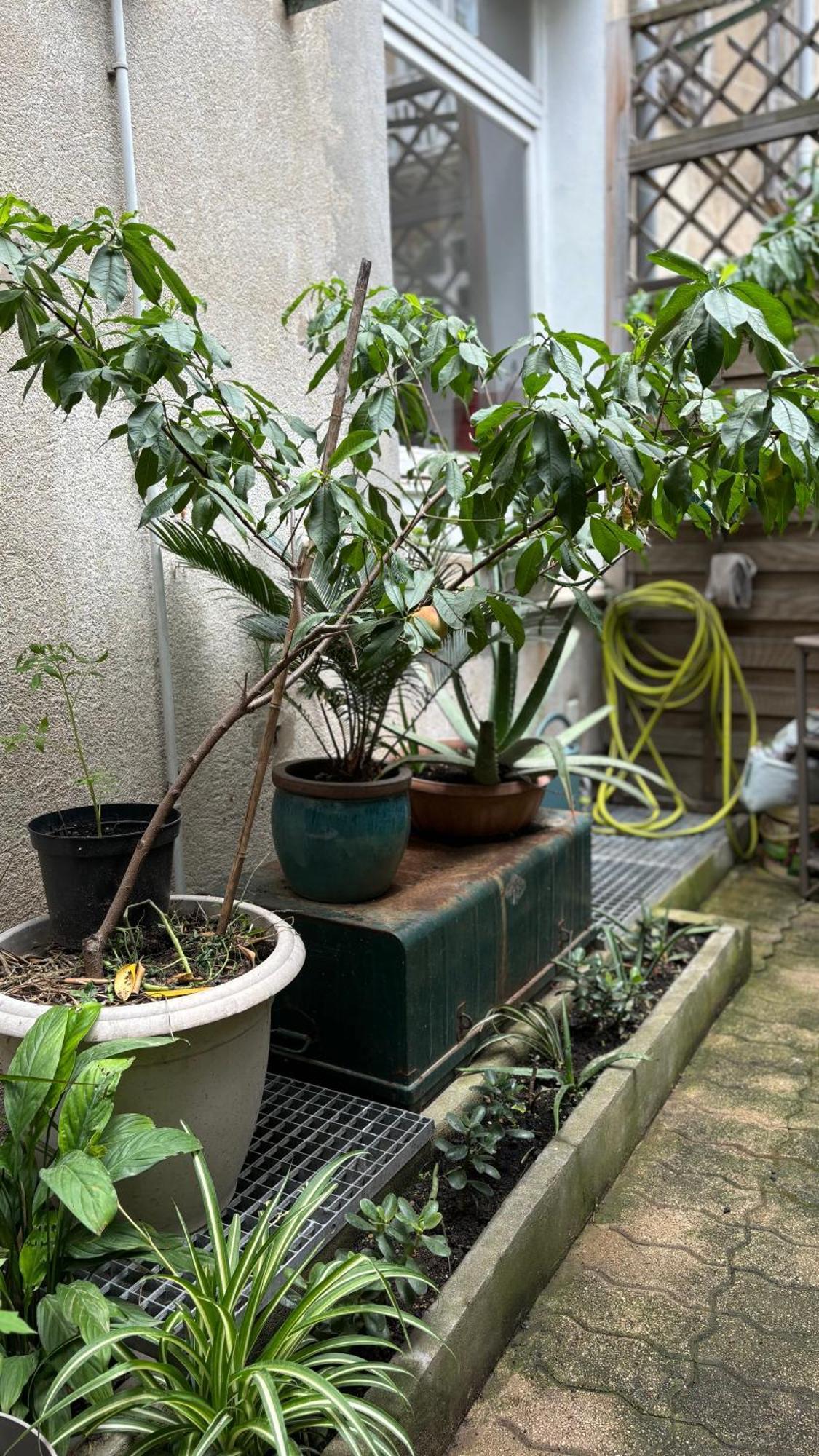 Appartement - Centre-ville Avec Jardin *